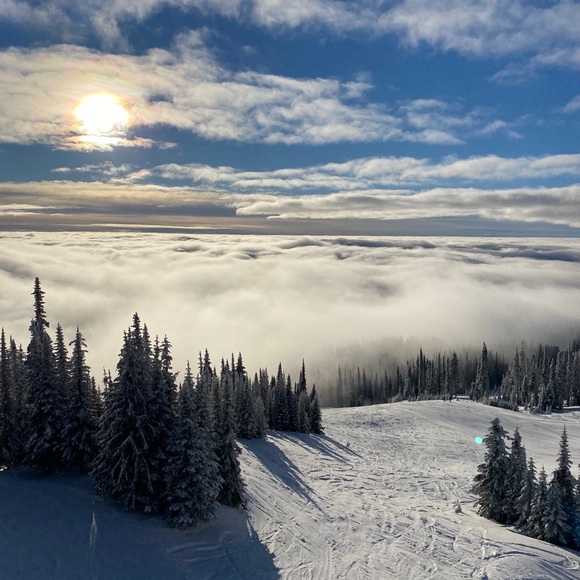 Meet your Posher, Tyler - Picture 1 of 1